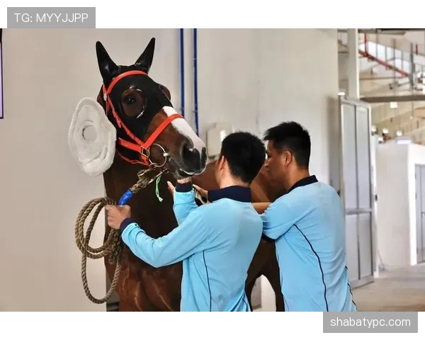 富里睡醒发现自家马场又多了匹纯血马，这月第几回了？