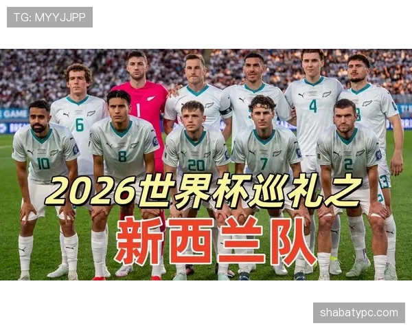 2026世界杯新西兰队阵容预测:中超旧将领衔或成大洋洲黑马 2026世界杯新西兰队阵容预测:中超旧将领衔或成大洋洲黑马